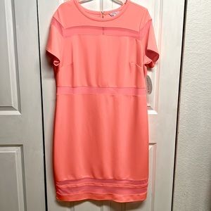 Boutique Vacation Coral Pink Mesh Panel Short Sleeve Dress Size 2X NWT